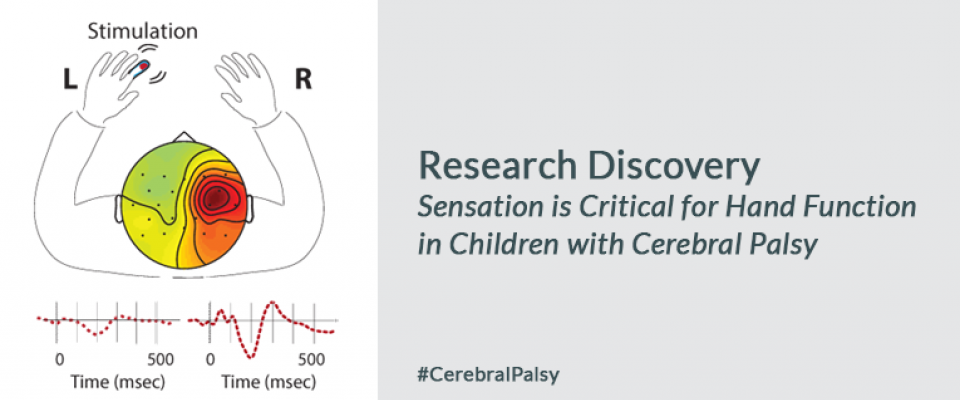 Researchers Discover a Novel Factor in Restoring Hand Function in Children with Cerebral Palsy Researchers Discover a Novel Factor in Restoring Hand Function in Children with Cerebral Palsy