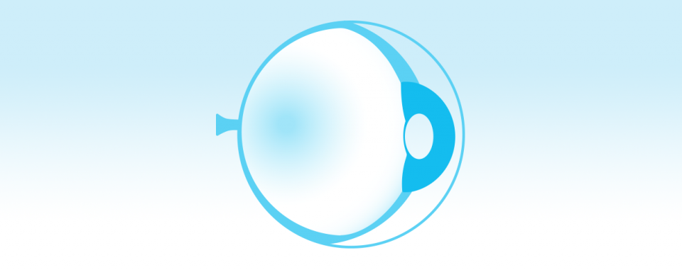 Retinal Degenerative Diseases icon